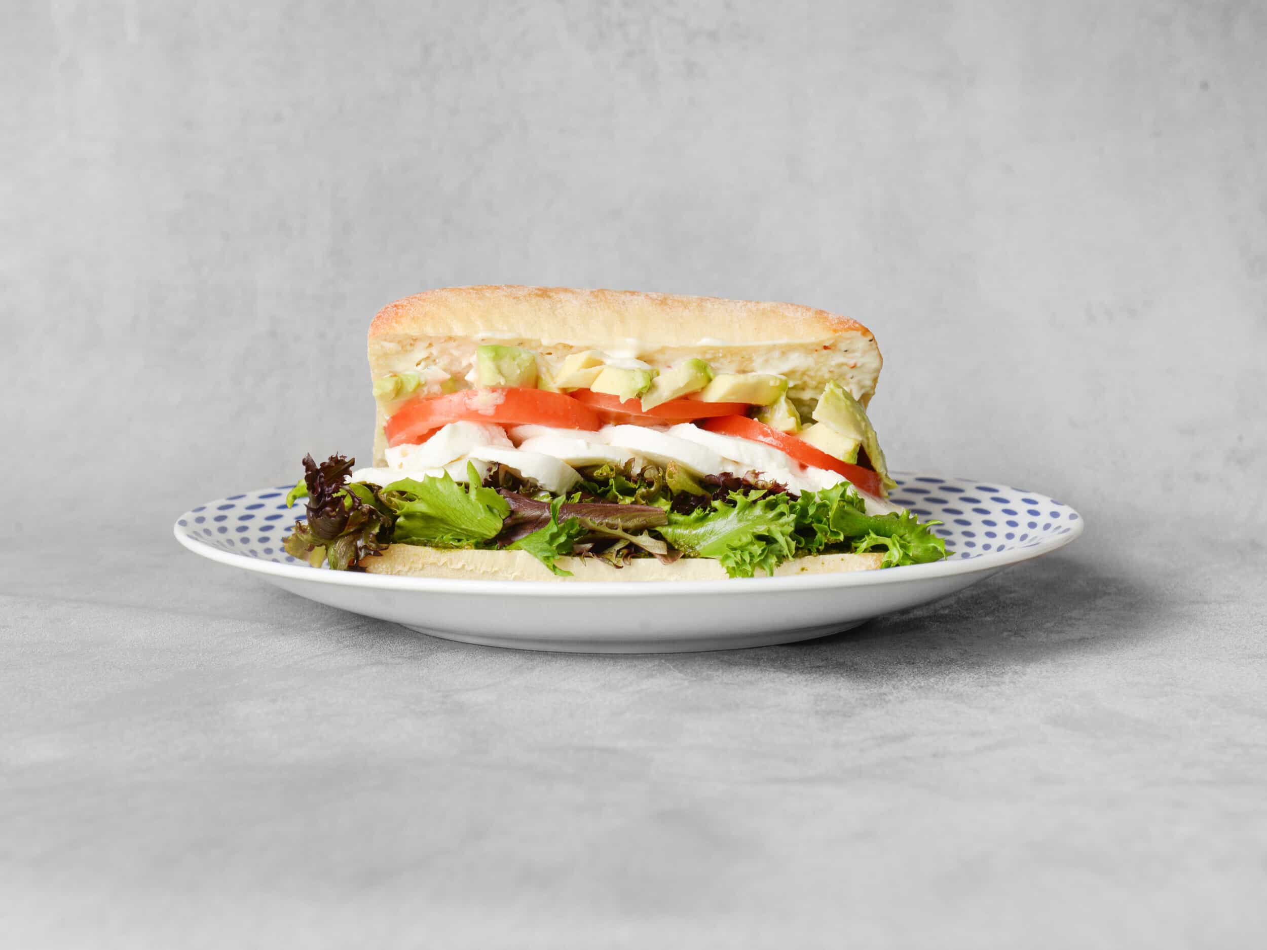 Vegetarian Dream Sandwich